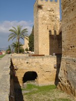 Highlight for Album: Mallorca Training Camp for the London-Paris Bicycling Tour